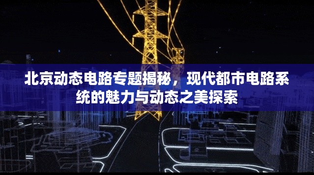 虫言鸟迹 第3页