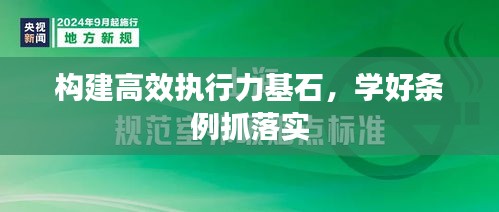 构建高效执行力基石，学好条例抓落实