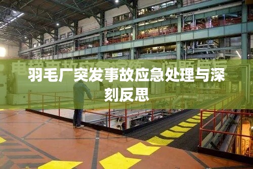 羽毛厂突发事故应急处理与深刻反思