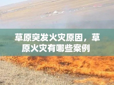 草原突发火灾原因，草原火灾有哪些案例 