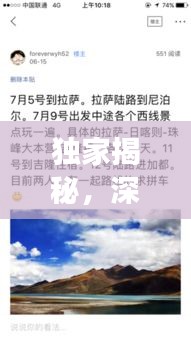 独家揭秘，深度解读贴吧独特视角，不容错过！