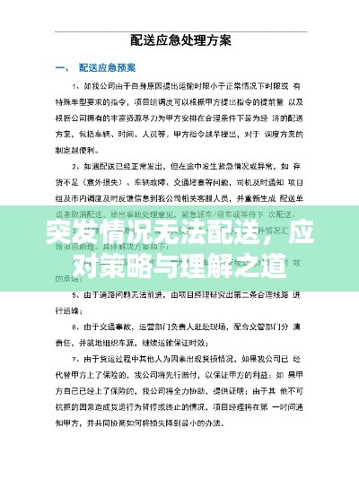 突发情况无法配送，应对策略与理解之道