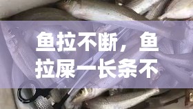 鱼拉不断，鱼拉屎一长条不掉 