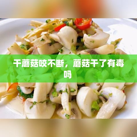 手舞足蹈 第3页