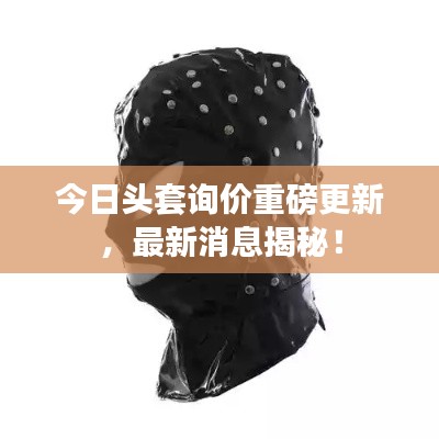 今日头套询价重磅更新，最新消息揭秘！