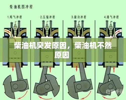 柴油机突发原因，柴油机不然原因 