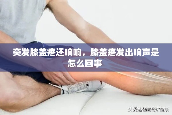 张灯挂彩 第3页