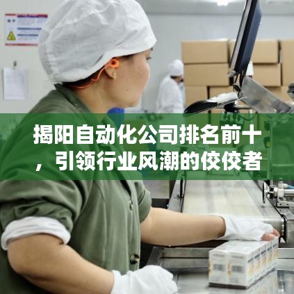 揭阳自动化公司排名前十，引领行业风潮的佼佼者