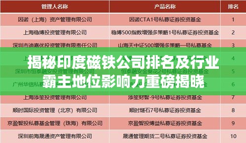 揭秘印度磁铁公司排名及行业霸主地位影响力重磅揭晓