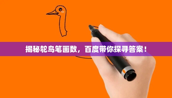 揭秘鸵鸟笔画数，百度带你探寻答案！