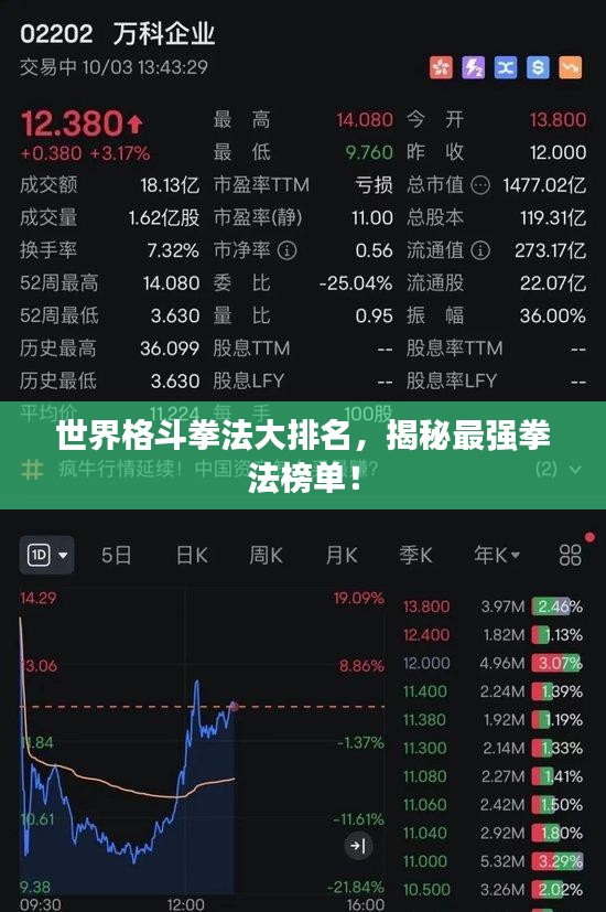 世界格斗拳法大排名，揭秘最强拳法榜单！