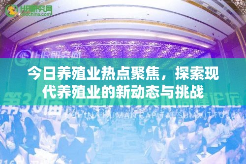 今日养殖业热点聚焦，探索现代养殖业的新动态与挑战