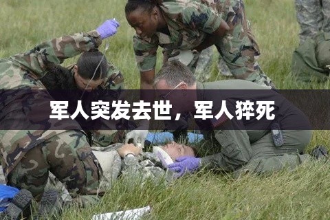 功成名就 第2页