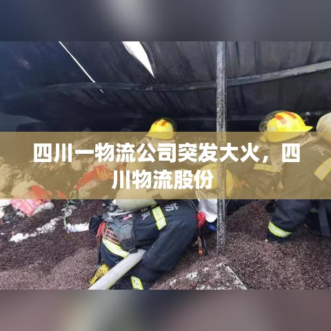 四川一物流公司突发大火，四川物流股份 