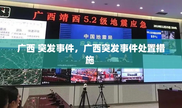 广西 突发事件，广西突发事件处置措施 