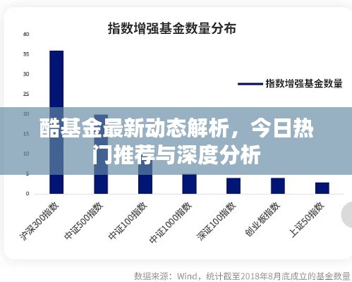 酷基金最新动态解析，今日热门推荐与深度分析