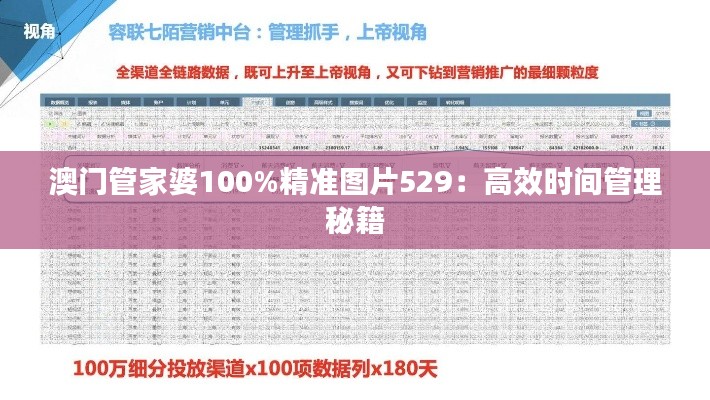 澳门管家婆100%精准图片529：高效时间管理秘籍