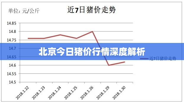北京今日猪价行情深度解析