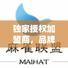 独家授权加盟商，品牌扩张的新策略揭秘
