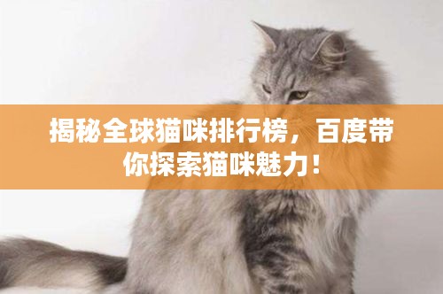 揭秘全球猫咪排行榜，百度带你探索猫咪魅力！