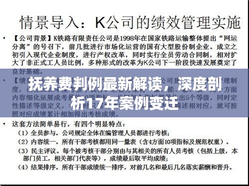 抚养费判例最新解读，深度剖析17年案例变迁