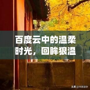 文贵天成 第3页