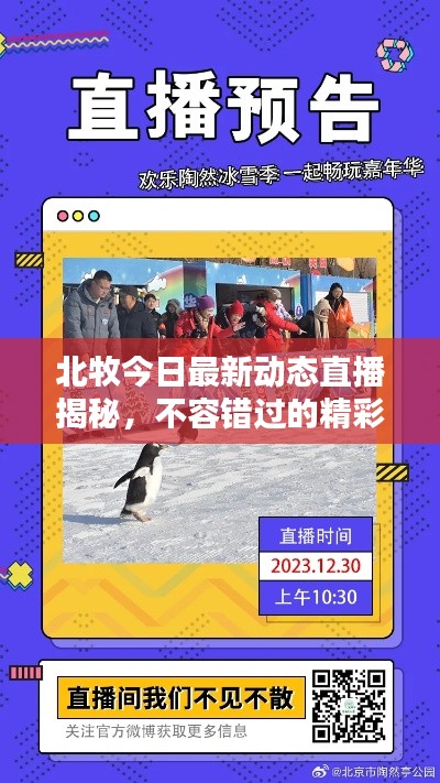 北牧今日最新动态直播揭秘，不容错过的精彩内容！