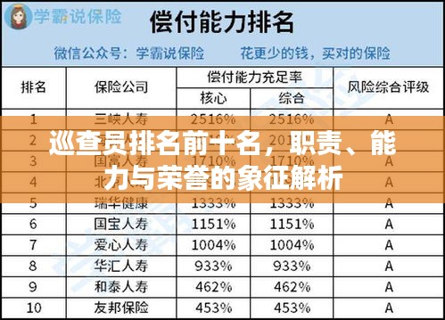 巡查员排名前十名，职责、能力与荣誉的象征解析