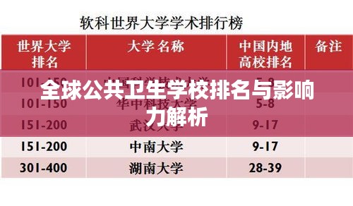 全球公共卫生学校排名与影响力解析