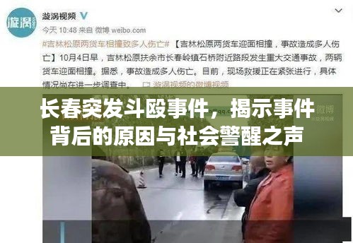 神采奕奕 第2页