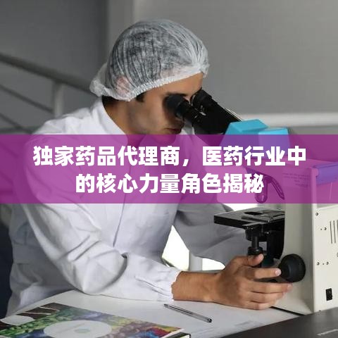 独家药品代理商，医药行业中的核心力量角色揭秘