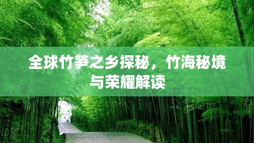 蛙鼓蝉鸣 第2页