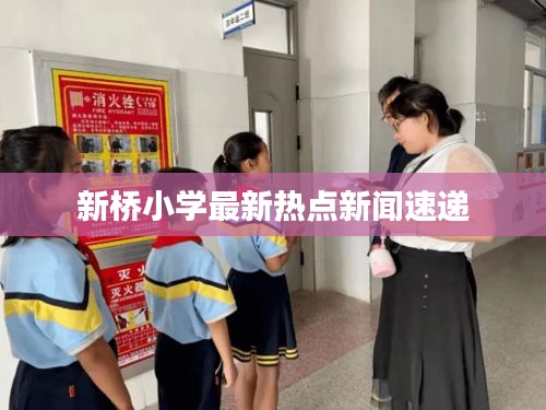 新桥小学最新热点新闻速递