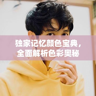 独家记忆颜色宝典，全面解析色彩奥秘