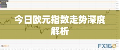 今日欧元指数走势深度解析