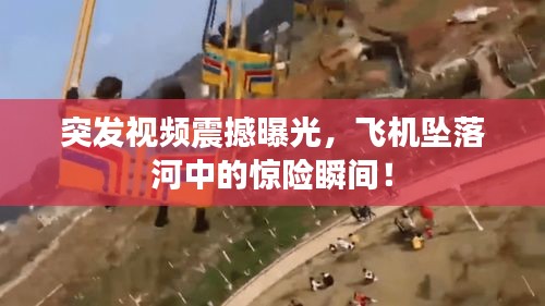 水浄鹅飞 第2页