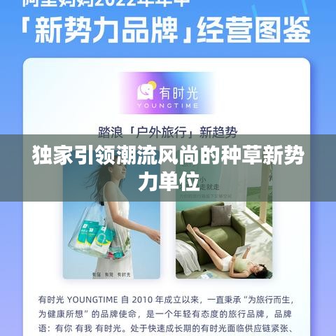 独家引领潮流风尚的种草新势力单位