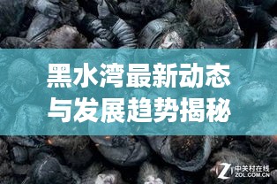 黑水湾最新动态与发展趋势揭秘，本地新闻头条全掌握