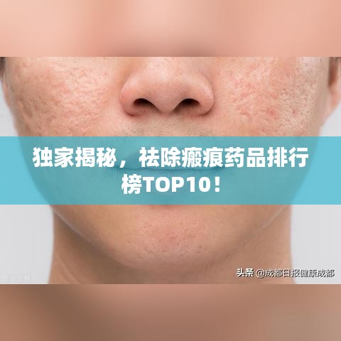 夫妻本是同林鸟 第2页