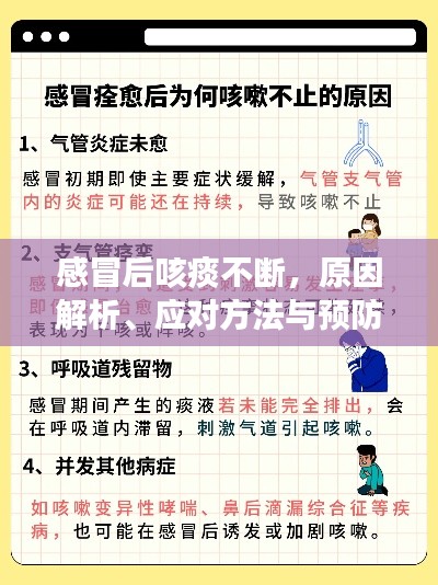 感冒后咳痰不断，原因解析、应对方法与预防措施