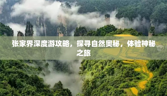 移罇就教 第2页