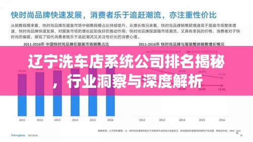 辽宁洗车店系统公司排名揭秘，行业洞察与深度解析