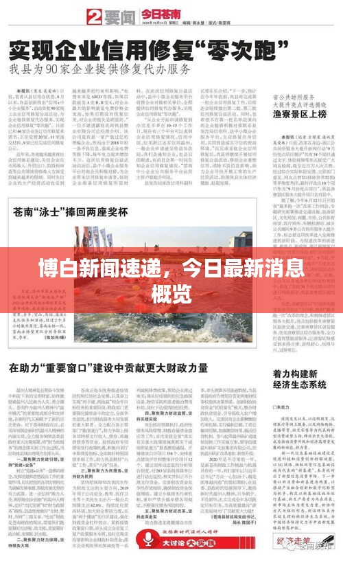 博白新闻速递，今日最新消息概览