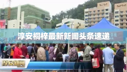 淳安桐梓最新新闻头条速递