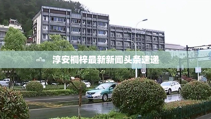 淳安桐梓最新新闻头条速递