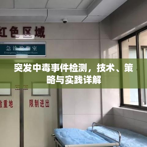 突发中毒事件检测，技术、策略与实践详解