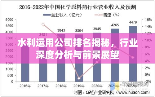 水利运用公司排名揭秘，行业深度分析与前景展望