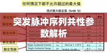 突发脉冲序列共性参数解析