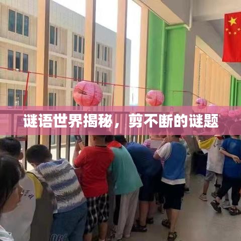 谜语世界揭秘,剪不断的谜题