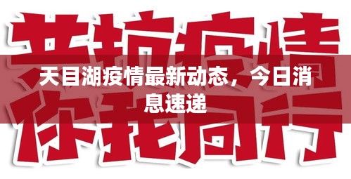 天目湖疫情最新动态，今日消息速递